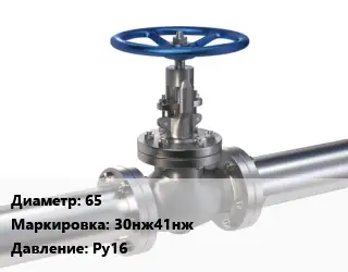 Задвижка нержавеющая 65 30нж41нж Ру16